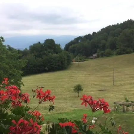 Oda ve Kahvaltı Col Mazzet