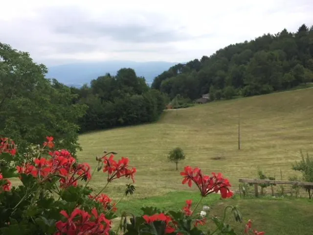 Nocleg ze śniadaniem Col Mazzet